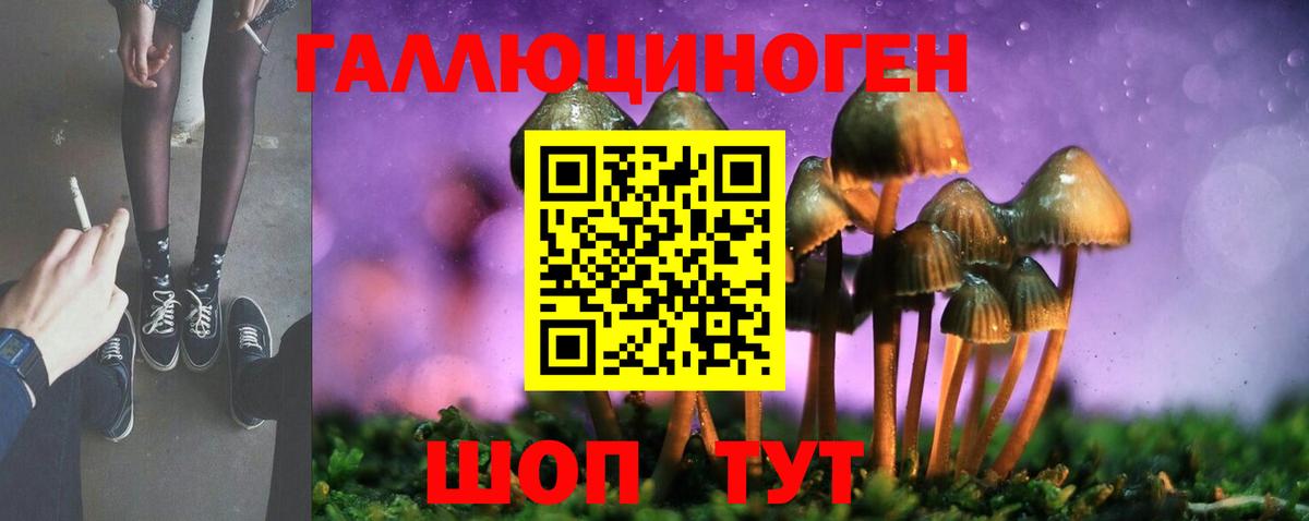 Псилоцибиновые грибы мухоморы Сибай
